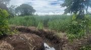 SE VENDE TERRENO IDEAL PARA  PROYECTO AGROINDUSTRIAL