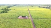 VENTA DE TERRENO CULTIVADO CON CAÑA EN SONSONATE